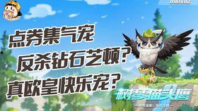 飞车最新爆料宠物,萌宠助力，畅游速度与激情世界  第2张